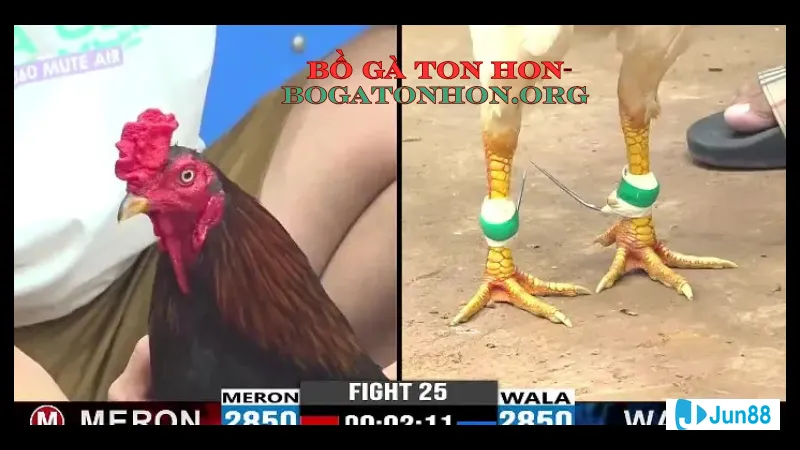 Trận đấu đang diễn ra trên sân cỏ