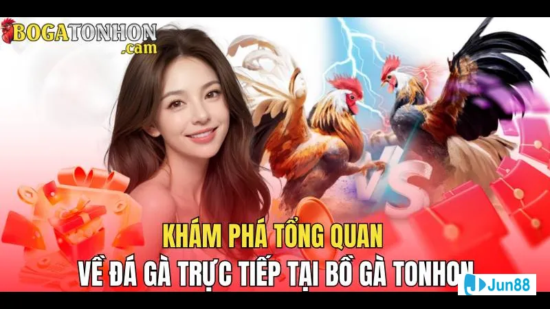 Đội ngũ bình luận viên chuyên nghiệp