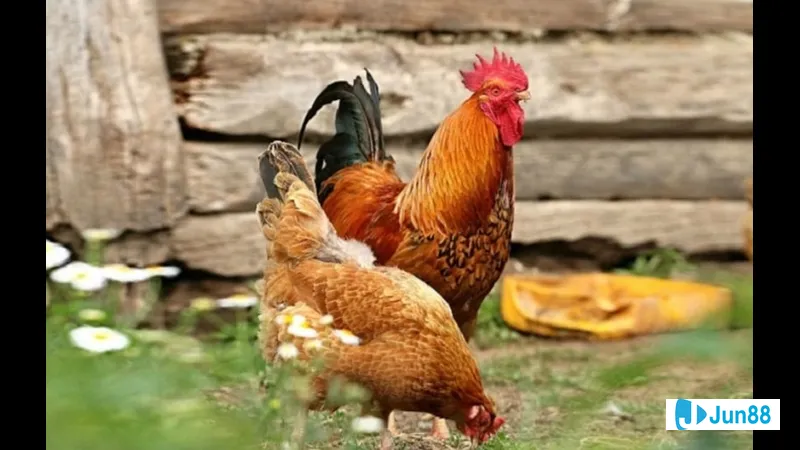 Ứng dụng công nghệ gen trong phối màu