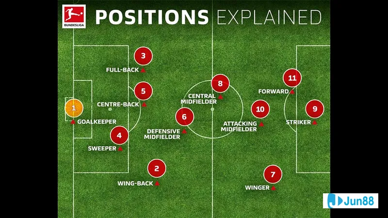 Tiền vệ phòng ngự so sánh