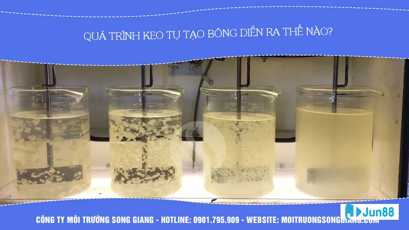 Nghiên cứu thông tin về đội bóng