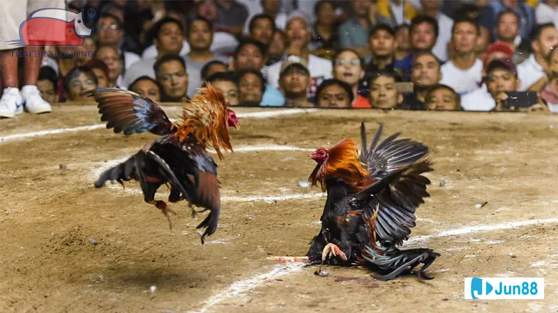 Chế độ dinh dưỡng khoa học