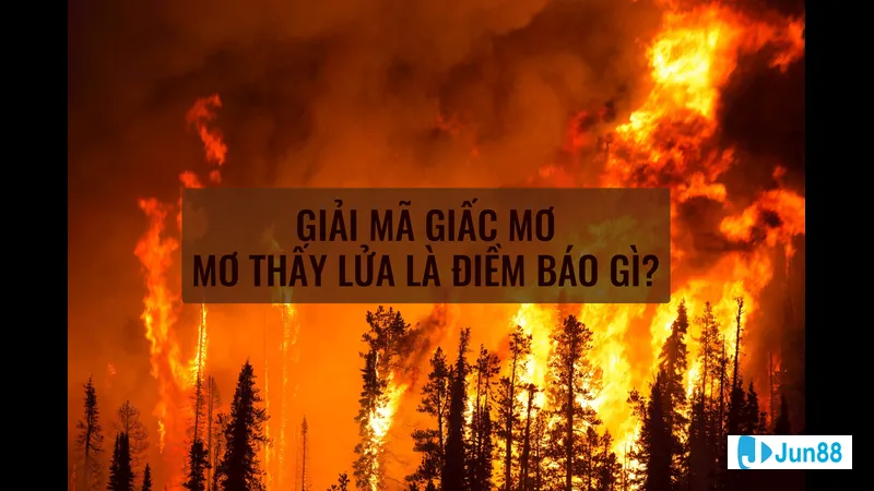 Ngọn lửa bén trong cơn mơ đêm