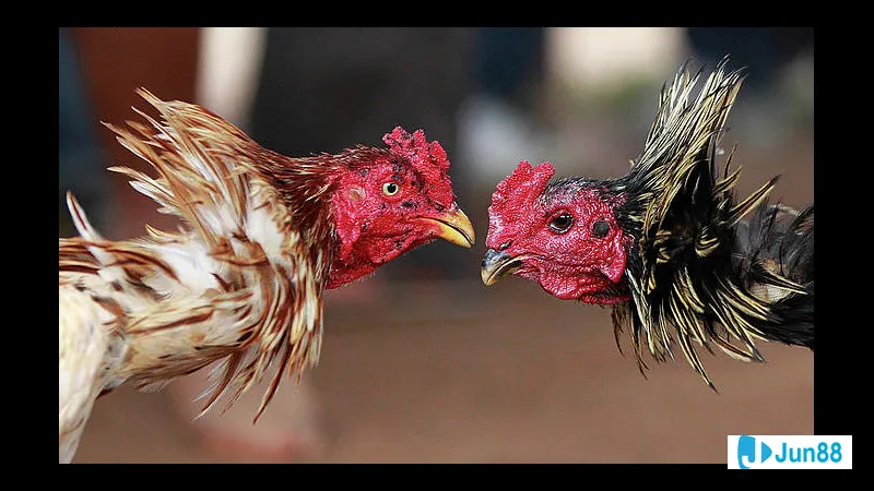 Người đang nhận tiêm phòng