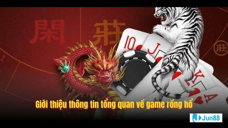 Cửa Hòa bị hạn chế bởi rào chắn